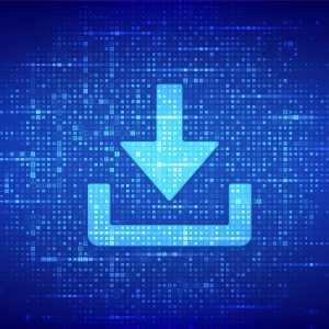 PASSFORT V1.0 - Digital download - non-inverted binary