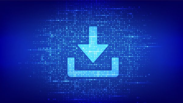 PASSFORT V1.0 - Digital download - non-inverted binary
